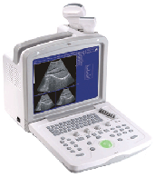 CMS600B-3 B-Ultrasound Diagnostic Scanner 